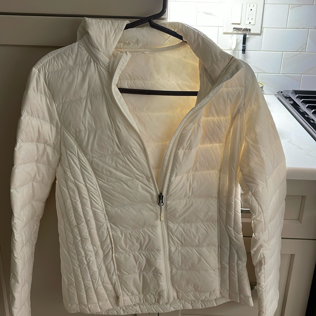 White Shelltop